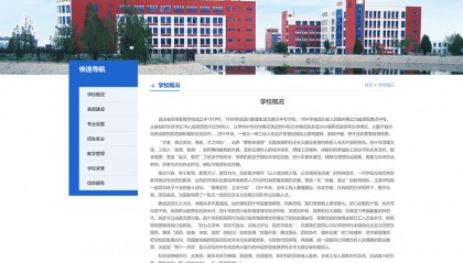 四川打假7所院校网站：批量盗用正规高校资料，有的自称在校生近七千人