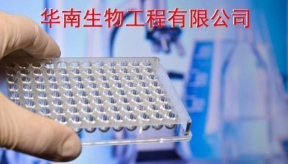 丹麦国家血清研究所中国官方网站