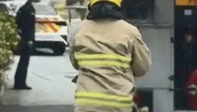 李嘉诚香港豪宅外突传异味，惊动警方消防：山坡位置发现野猪尸体，相关部门已到场处理