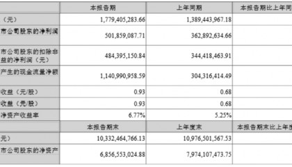 同花顺上半年盈利超5亿元，同比增长38.29％