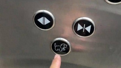 沈阳一小区电梯设“小狗按钮”，可通过按钮亮熄判断电梯里是否有狗，新款还有摄像头识别功能