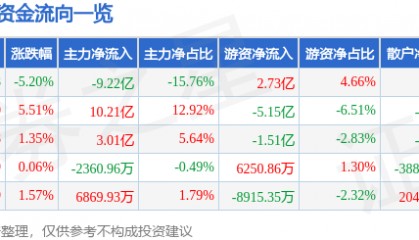 同花顺（300033）10月30日主力资金净卖出9.22亿元