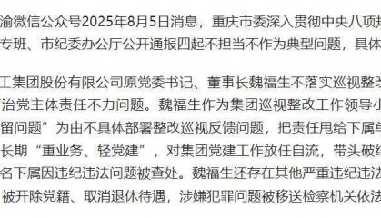 重庆建工集团股份有限公司原党委书记、董事长魏福生被开除党籍、取消退休待遇