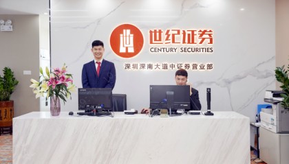 成立证券公司(成立证券公司小说)