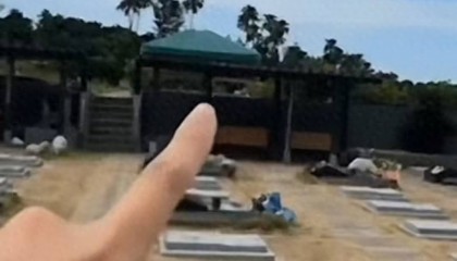 大快人心！去大S墓地炒作网红被封，小杨阿姨疑似戳穿具俊晔人设