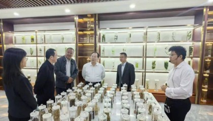 省人大教科文卫委主任委员朱新武率调研组开展民族医药传统知识保护工作调研