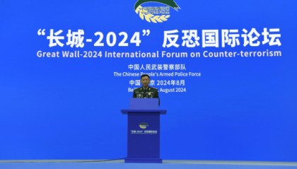 4名将领被罢免人大代表，含上将王春宁