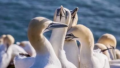 广发证券招标:财富经纪业务运营中心装修工程,资金全来自自身