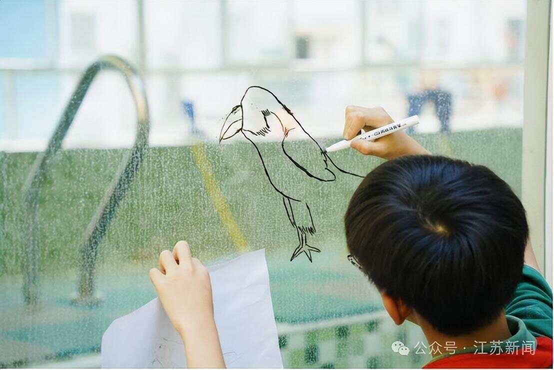 南京一大桥玻璃墙频现撞鸟事件 市民希望能贴上鸟类防撞贴纸