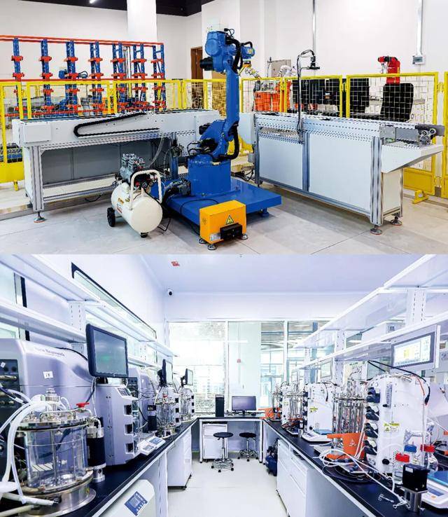 这所新大学，一周只上四天课