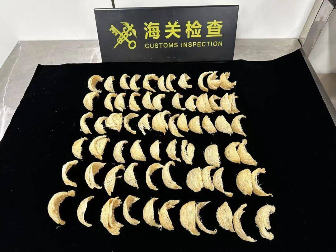 太恶心！女子被查，在打底裤内搜到了用塑料袋包裹的大量食品……