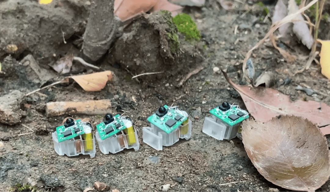 西湖大学研发昆虫尺度软体机器人：能爬能游又抗摔，“机器小强”为什么强