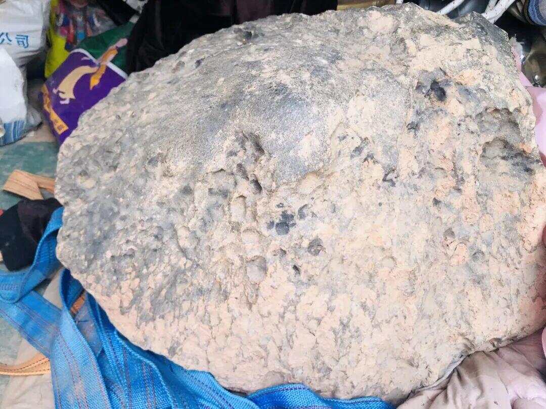 “陨石猎人”：在茂名挖出423公斤陨石；村民称此前不知有陨石，曾见有外人来果园