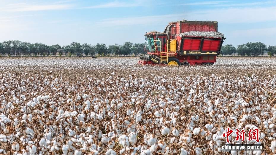 （砥砺奋进七十载 天山南北谱华章）千年丝路展新颜 解锁不一“Young”的新疆