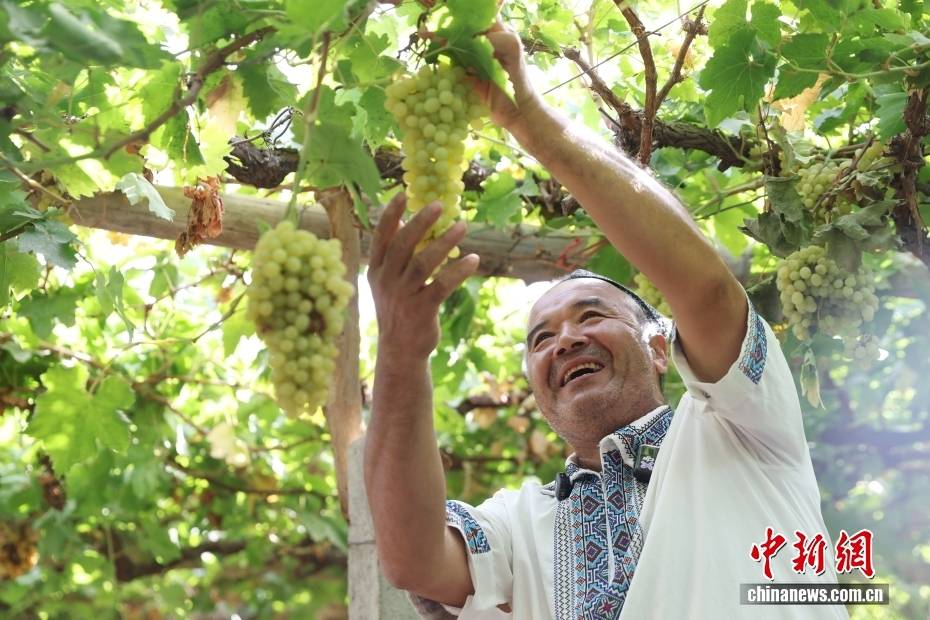 （砥砺奋进七十载 天山南北谱华章）千年丝路展新颜 解锁不一“Young”的新疆