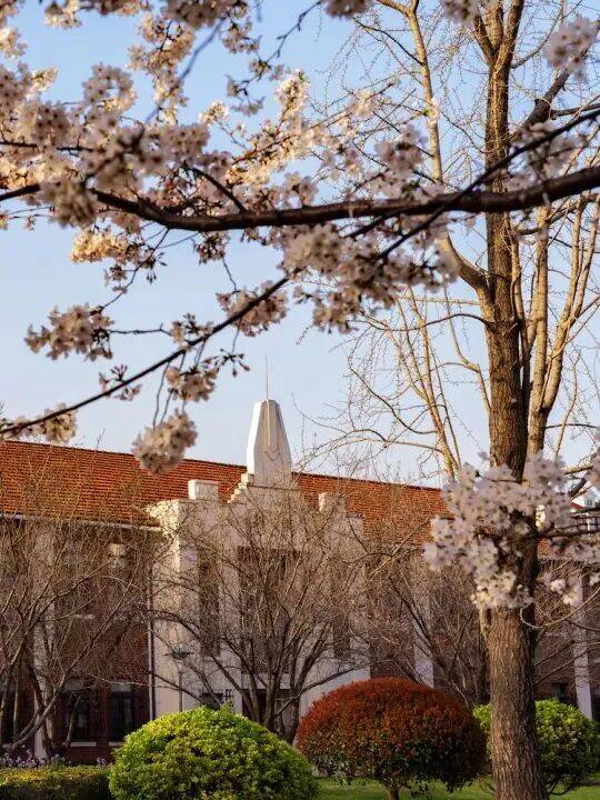 招聘 | 上海市上海中学国际部2026年招聘公告