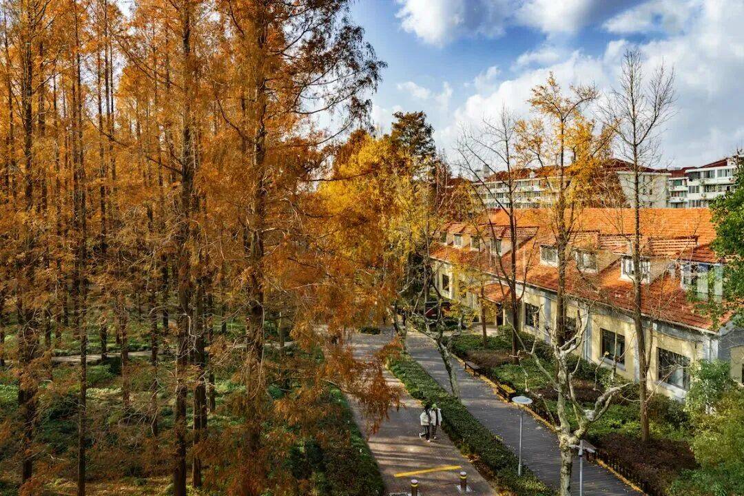 招聘 | 上海市上海中学国际部2026年招聘公告