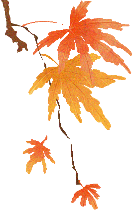 秋日叶语・花开立秋 | 香坊区图书馆立秋摄影展