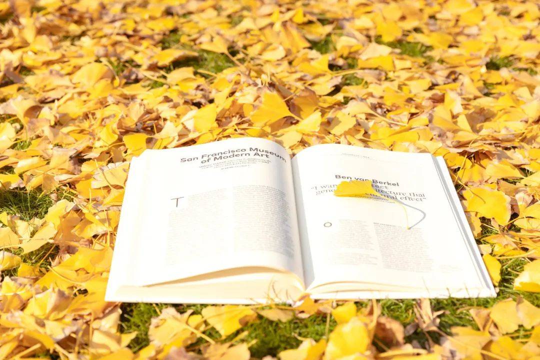 秋日叶语・花开立秋 | 香坊区图书馆立秋摄影展