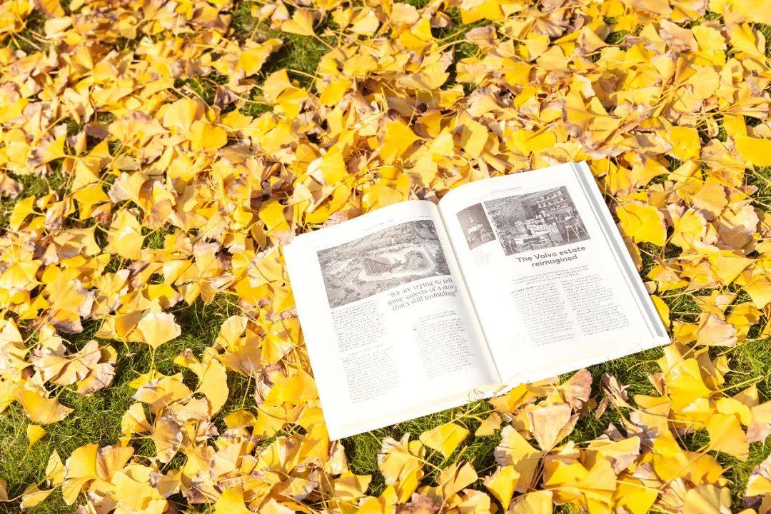 秋日叶语・花开立秋 | 香坊区图书馆立秋摄影展