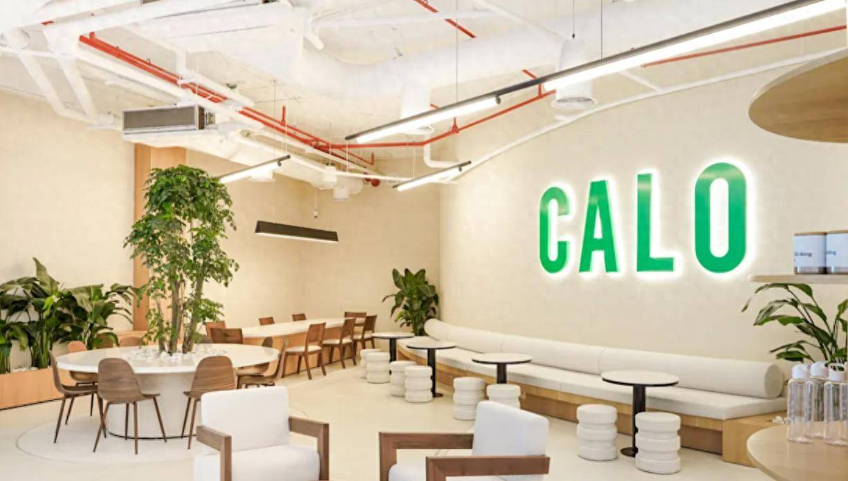 中东外卖初创公司Calo宣布B轮融资3900万美元