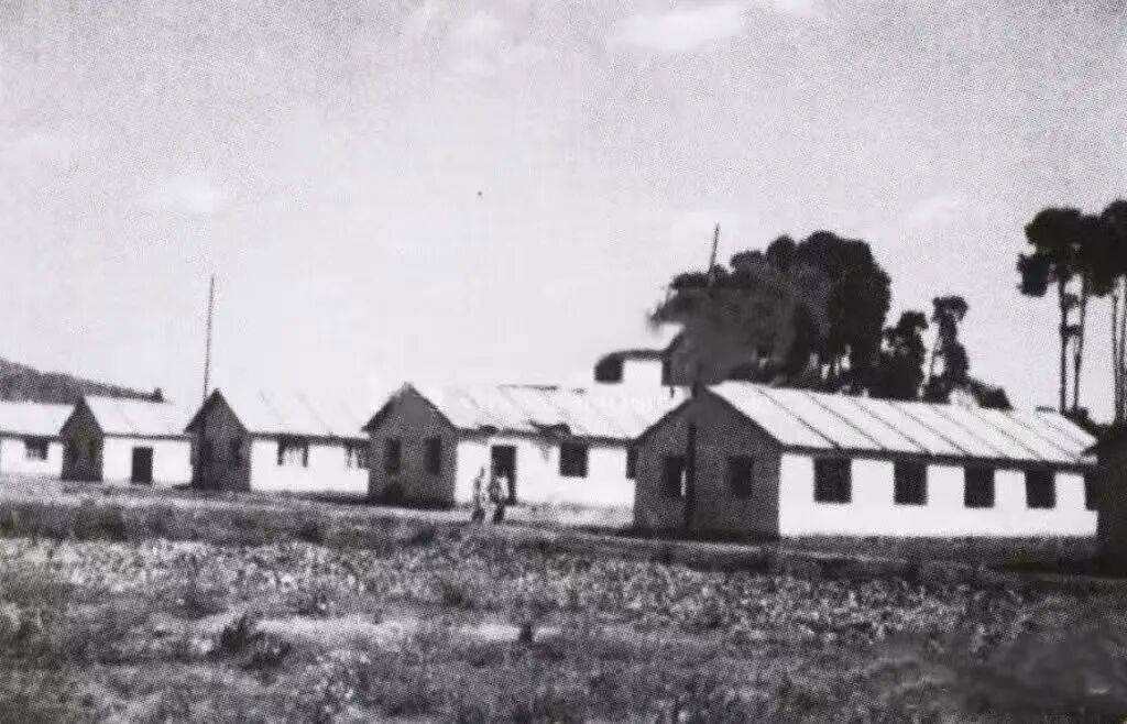 【追忆】杨振宁的西南联大岁月：大批学生用知识和热血服务抗战||郭晔旻