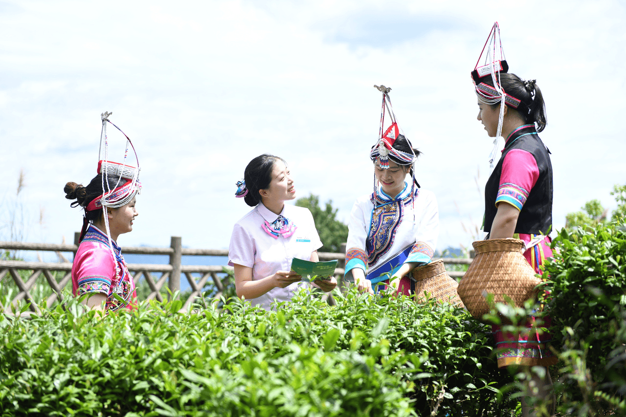 农行浙江省分行：看金融活水何以润富山海