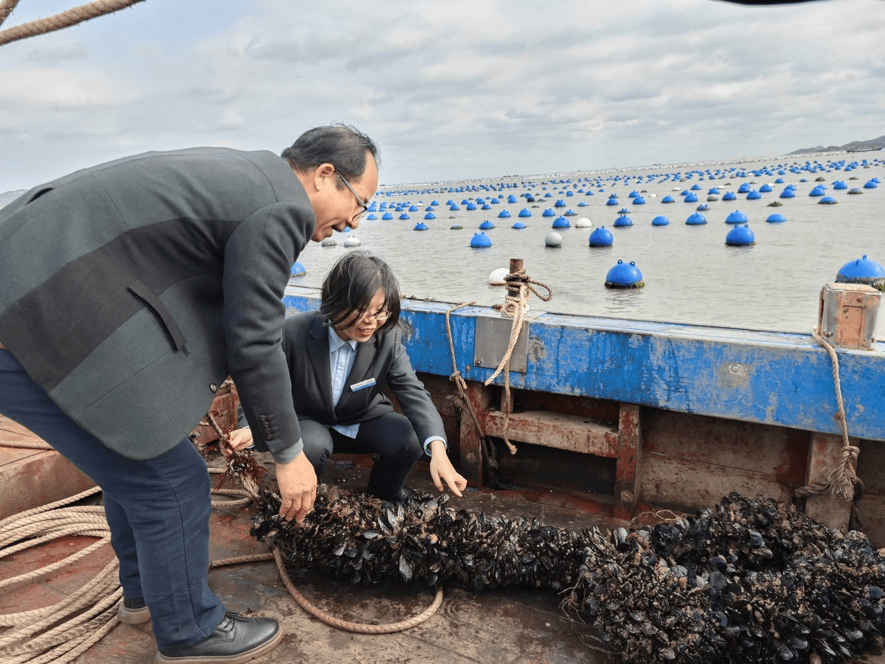 农行浙江省分行：看金融活水何以润富山海