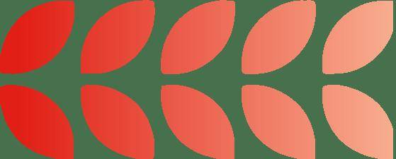 安立路项目迎关键节点！多图直击——