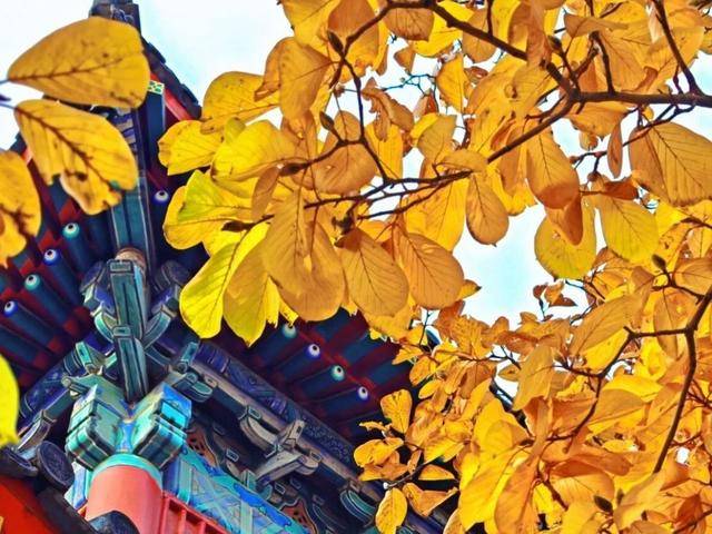 北京号最精彩 | 抢先看！安立路快速化改造工程最新进展