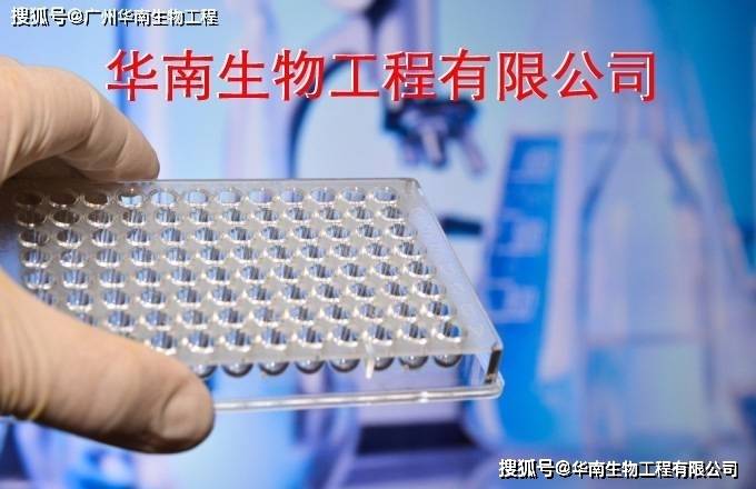 丹麦国家血清研究所中国官方网站