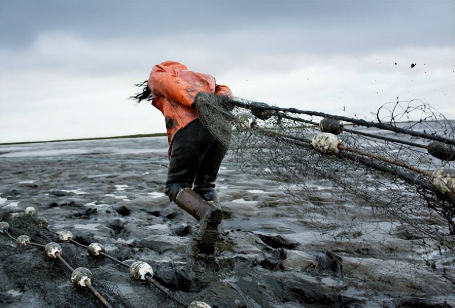 16年,上海保姆被骗到美国成女奴,被迫学狗爬行,受到非人待遇