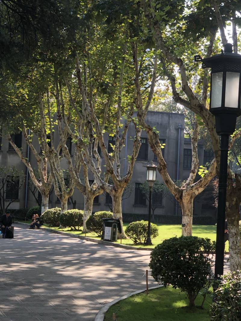 揭秘!苏州周边游前8强实测推荐,官方认证!必看