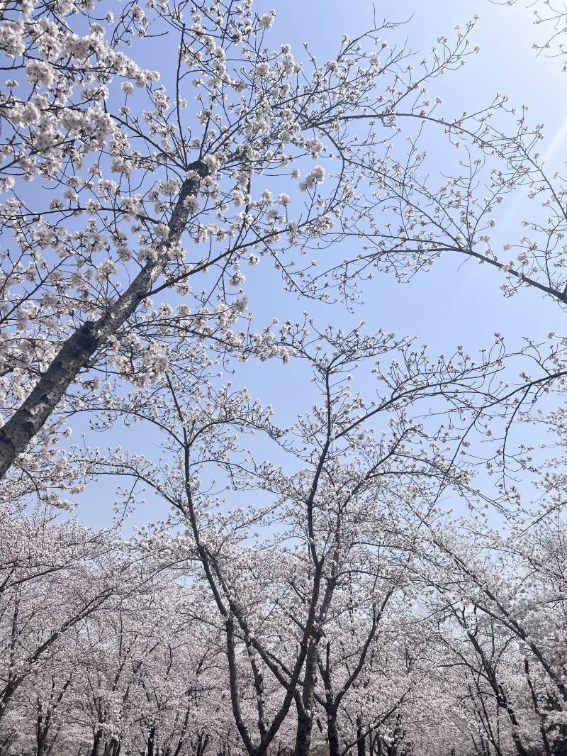 「官方认证！」苏州周边游TOP7口碑榜单，数据说话！小众玩家专属