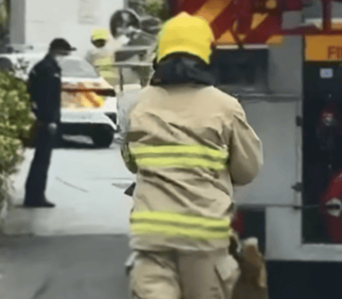 李嘉诚香港豪宅外突传异味,惊动警方消防:山坡位置发现野猪尸体,相关部门已到场处理