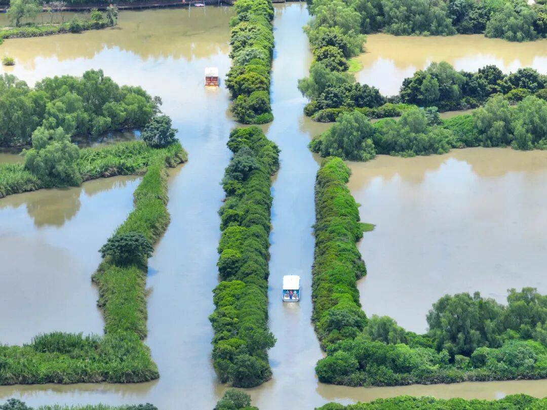 送官方周边！凭五月天演唱会票根解锁南沙福利