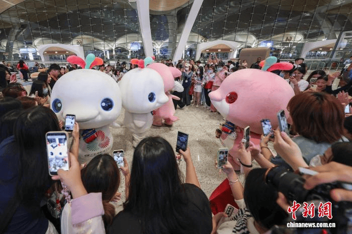 老板劝退“别来吃”的顺德鸡煲店,逼着广东文旅去斩鸡
