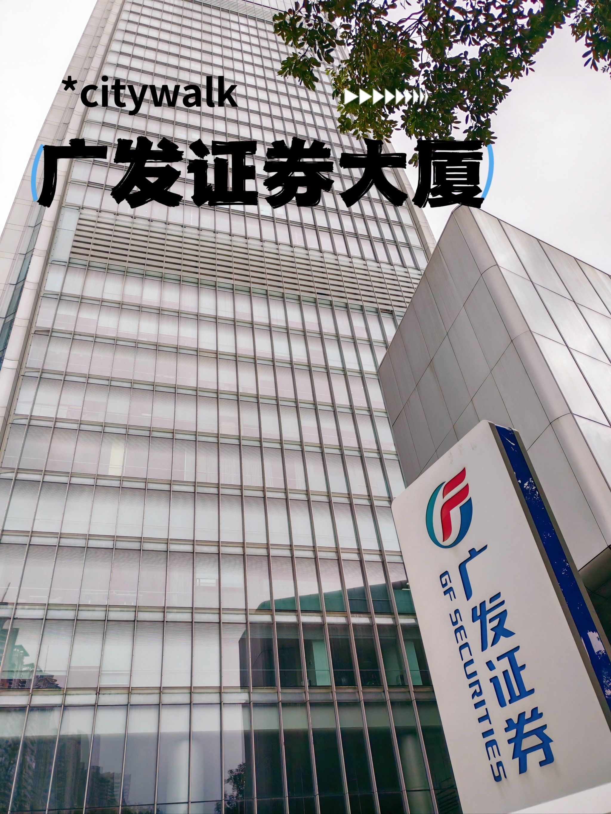 中山证券有限责任公司(中山证券有限责任公司电话)